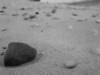 beach 1 (bw).jpg (37kb)